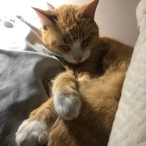 Meet your Posher, Mark